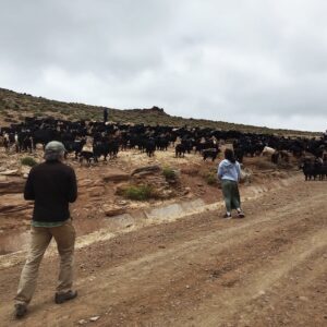 Moroccan nomads sustainable volunteering