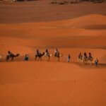 South Morocco Eco -friendly tour