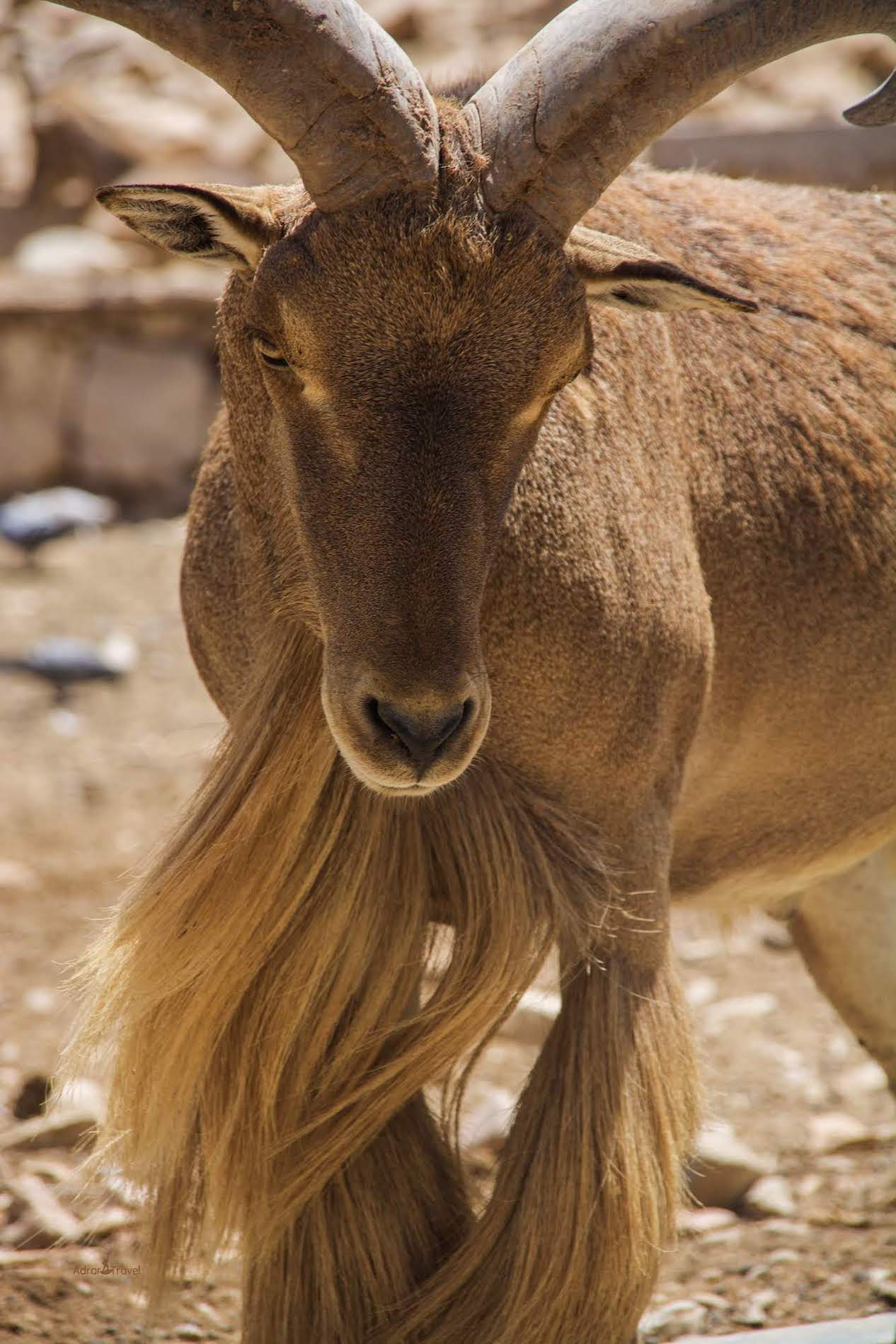 Toubkal national park