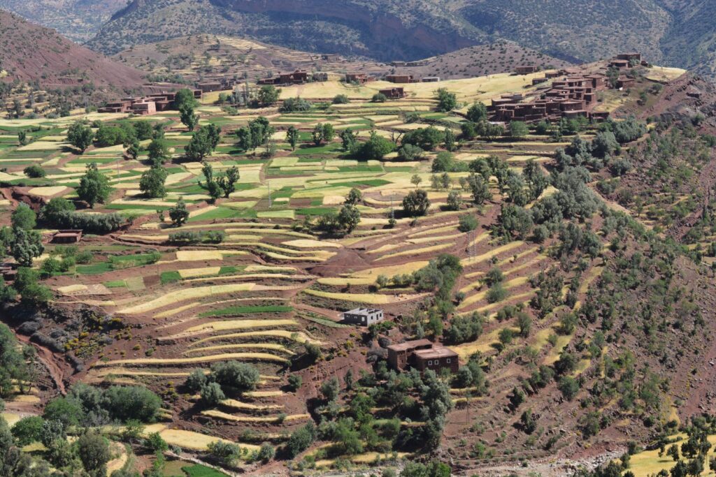 Beyond Marrakech: Unveiling Morocco's Hidden Eco-Treasures