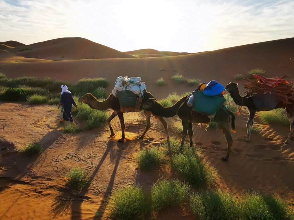 Private tours in Morocco