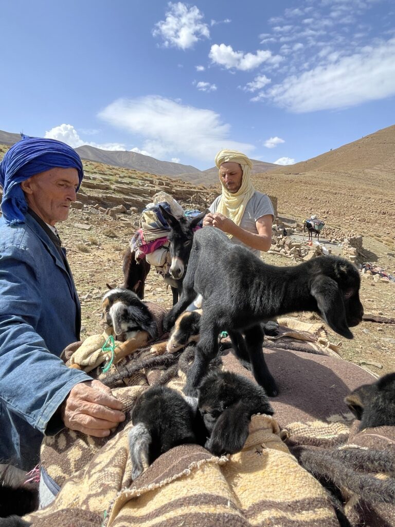 trekking with nomads