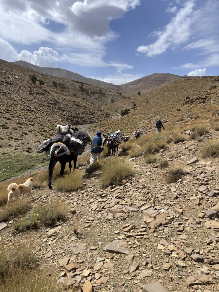 trekking with nomadic family