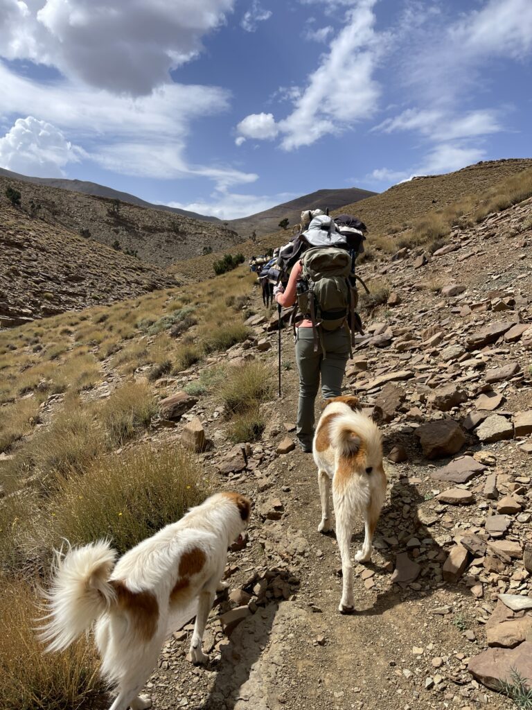 Last nomadic tribes in Morocco