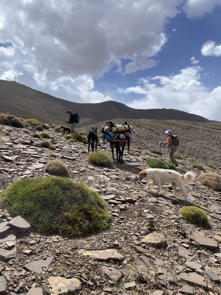 trekking with nomadic family