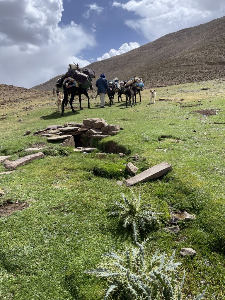 trekking with Nomads