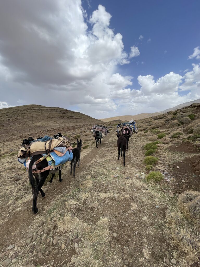nomad walking trip