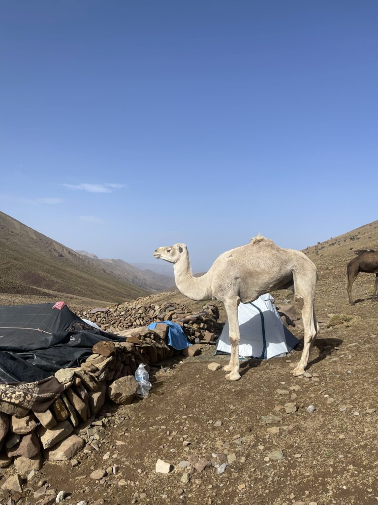 trekking with nomads